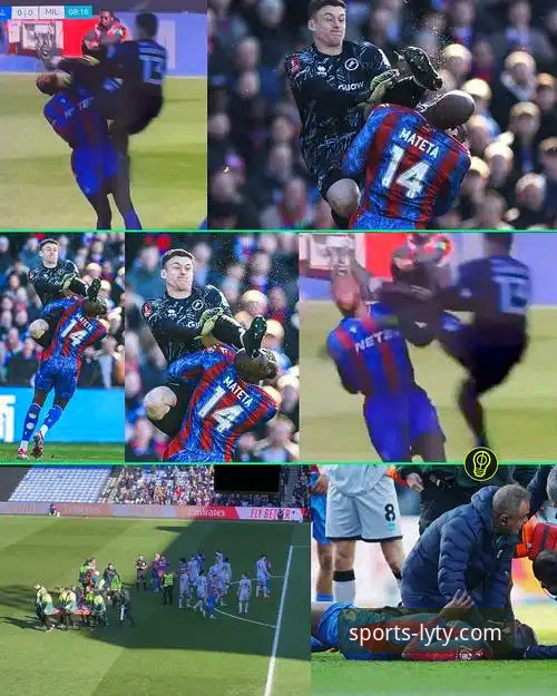 官方渠道 vs 第三方来源：乐鱼体育平台下载的安全与效率之选